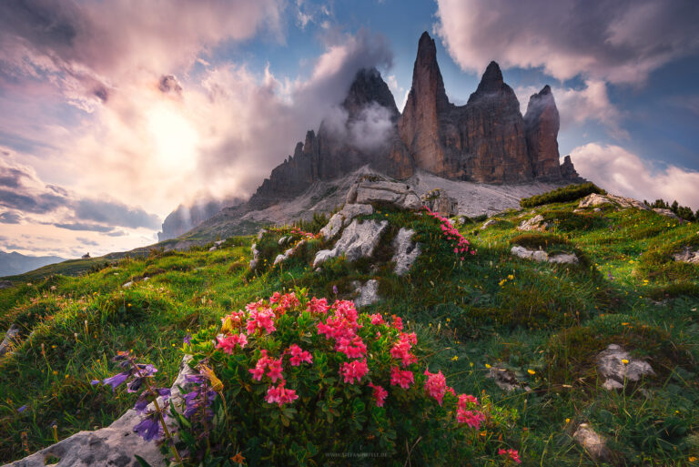 Traumhaft sommerliche Abendstimmung in den Dolomiten mit Alpenrosen und anderen farbigen Blumen.