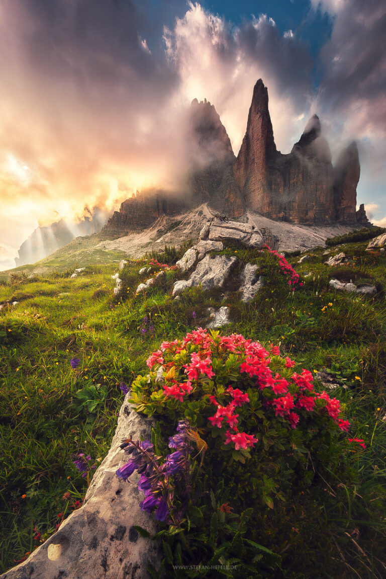 Traumhaft sommerliche Abendstimmung in den Dolomiten mit farbigen Blumen und magisch goldener Nebelstimmung