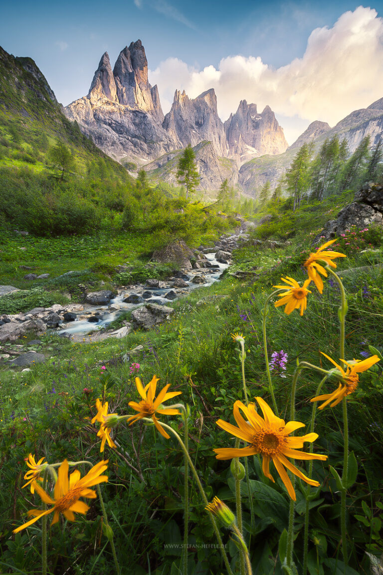 Weniger gesehene Berggipfel in den südlichen Dolomiten mit traumhaft sommerlicher Bergwiese und gelben Blumen in schönem Licht