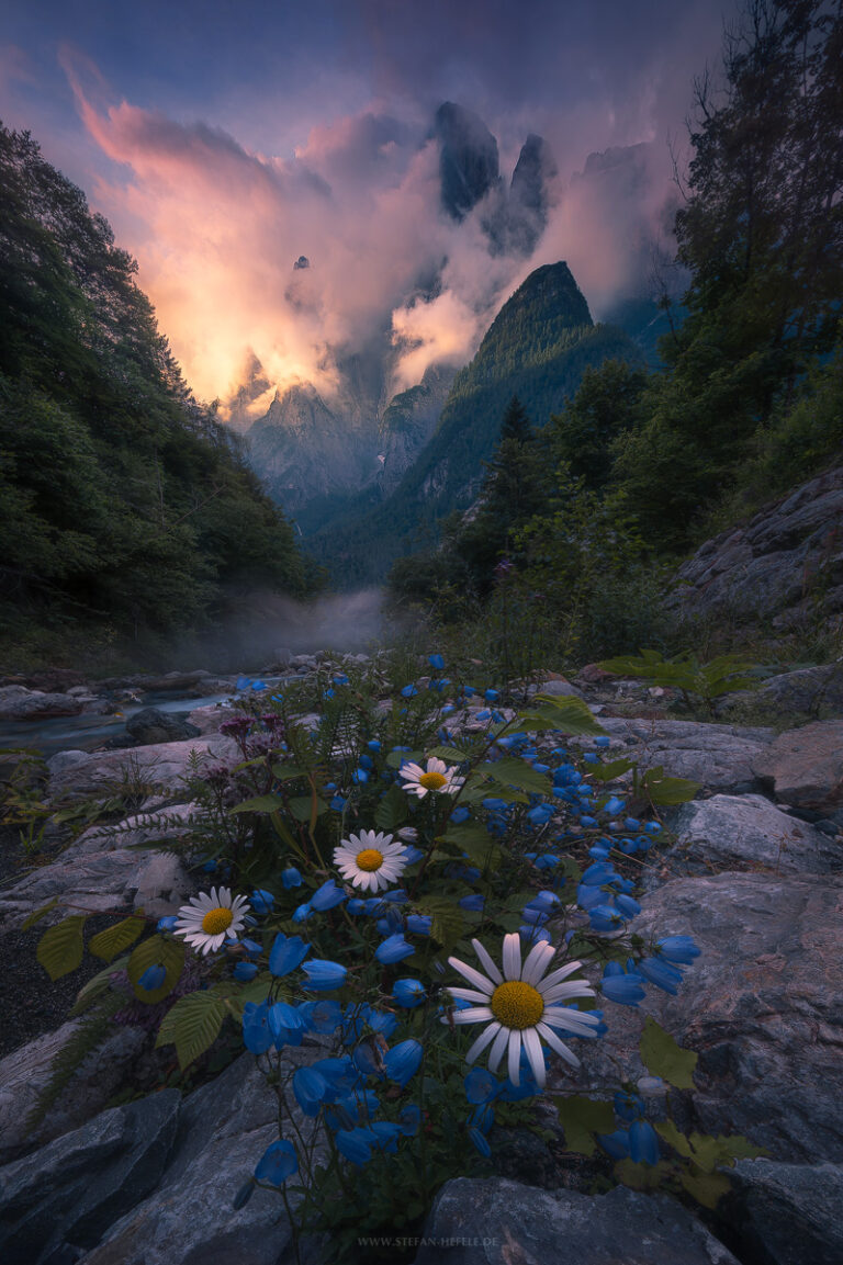 Unbekannteres Tal in den Süddolomiten mit mächtigen Bergen in wilder Stimmung und Blumenarrangement