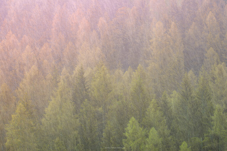 Schöner Farbverlauf über italienischen Bergwald im Regen. Sunshine Plum.