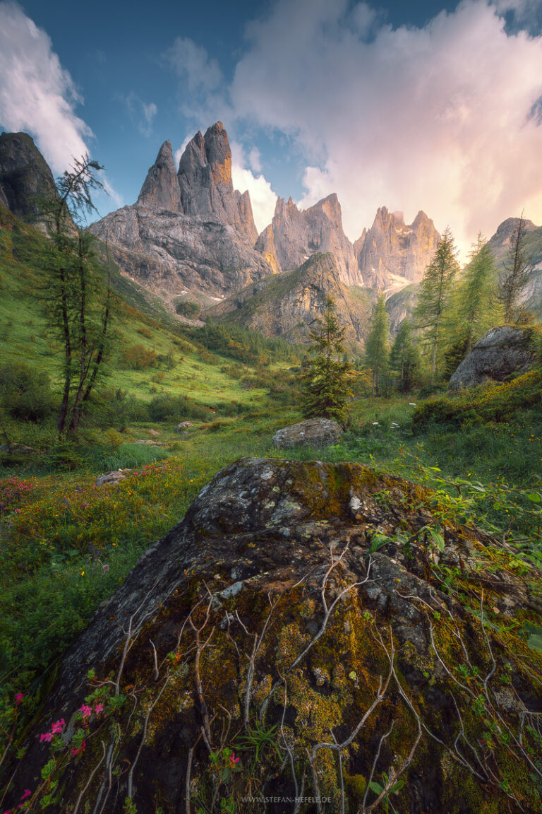 Weniger gesehene Berggipfel in den südlichen Dolomiten mit traumhaft sommerlicher Bergwiese und Blumen im späteren Licht