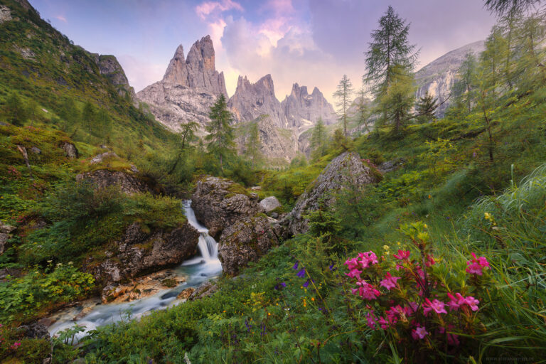 Weniger gesehene Berggipfel in den südlichen Dolomiten mit traumhaft sommerlicher Bergwiese und Blumen im späteren Licht