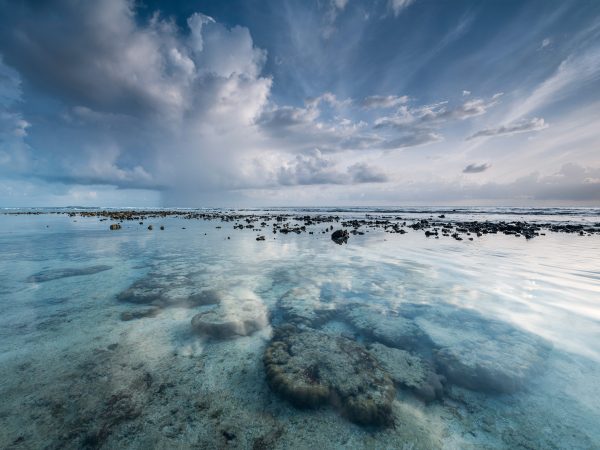 View over shallow coral reef in the Indian Ocean under glassy water and dramatic tropical sky in the early morning