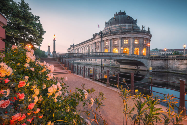 Museumsinsel in Berlin mit Rosen im Vordergrund früh Morgens in romantisch ruhiger Stimmung