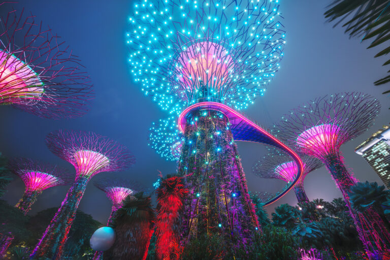 Supertree Grove in Singapore with a fairytale light show