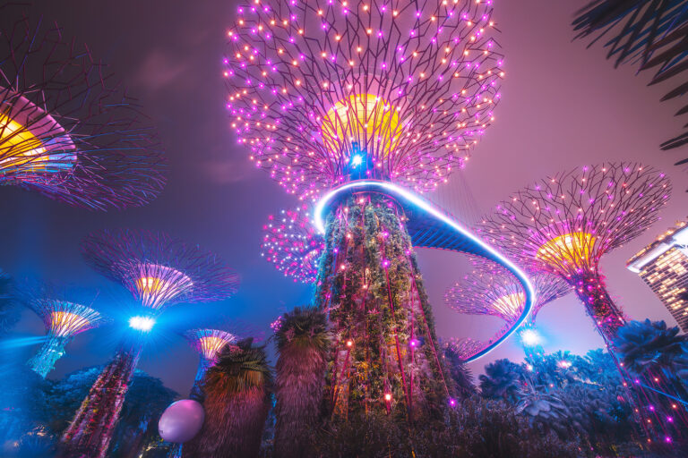 Supertree Grove in Singapore with a fairytale play of light