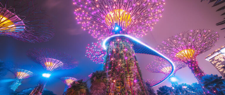 Supertree Grove in Singapore with a fairytale play of light