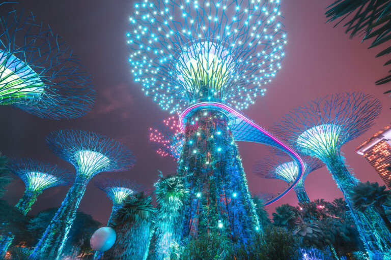 Supertree Grove in Singapore with a fairytale light show